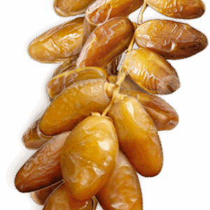 DATTES BRANCHÉES
