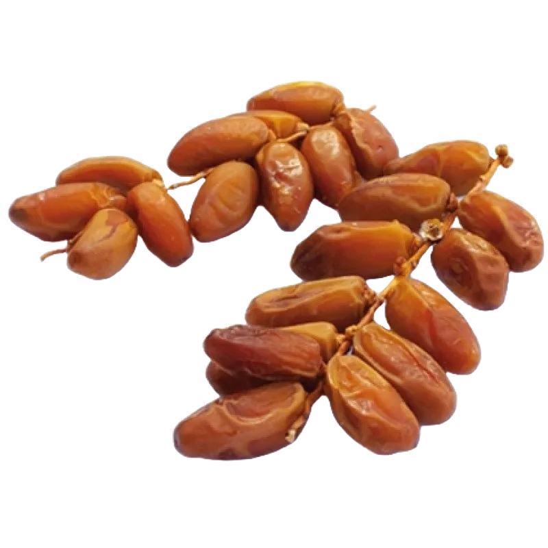 Les dattes bio tunisiennes