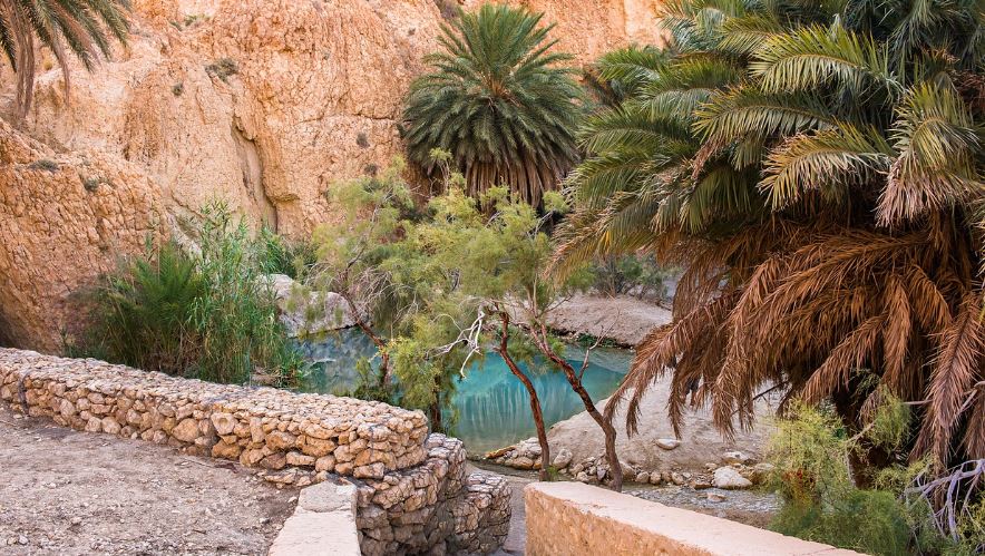 Les oasis en Tunisie2