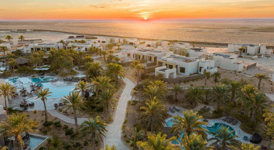 Les oasis en Tunisie4