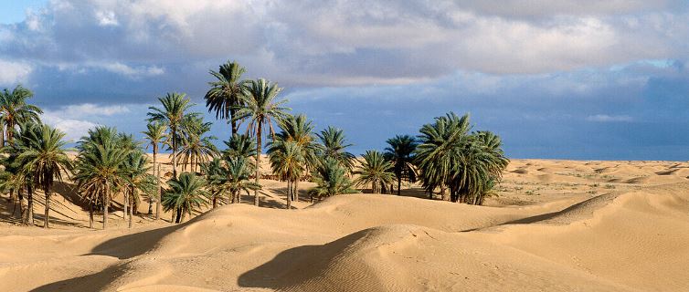 douz tunis