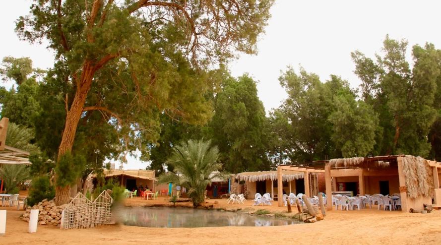 oasis de ksar ghilane